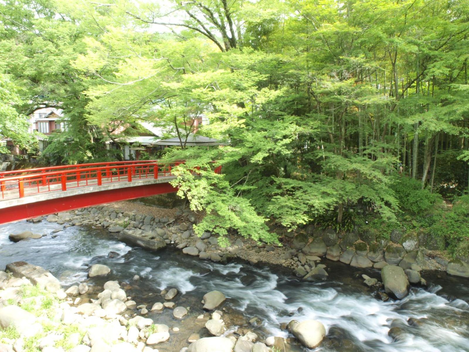 Arai Ryokan Shizuoka Exterior photo
